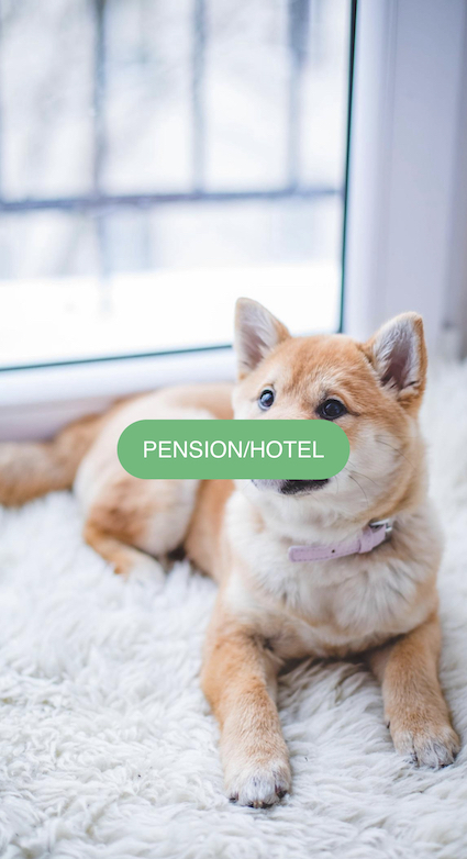 Pension / Hotel 